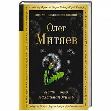Русская поэзия, книга Лето - это маленькая жизнь заказать