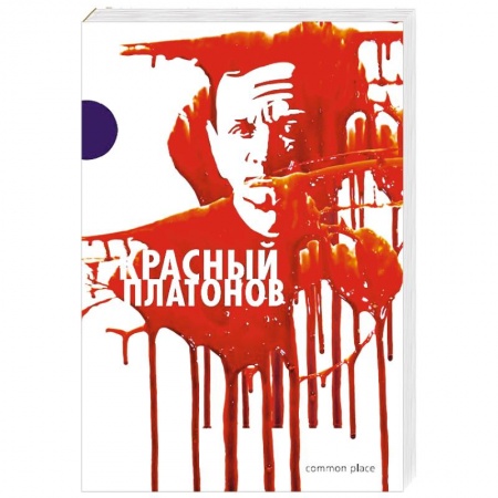 Дневники. Письма. Записки, книга Красный Платонов заказать