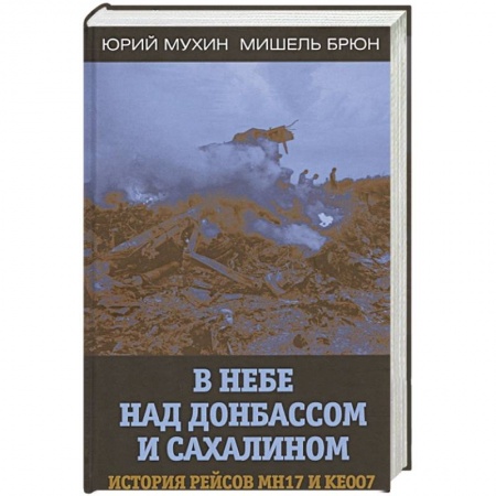 Политика, книга В небе над Донбассом и Сахалином. История рейсов.. заказать