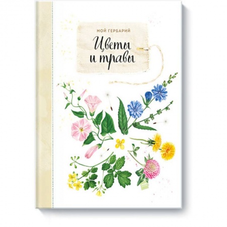 Животный и растительный мир, книга Мой гербарий. Цветы и травы заказать