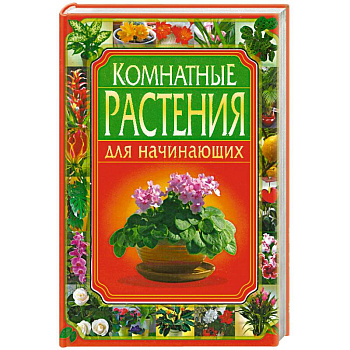 Комнатные растения для начинающих