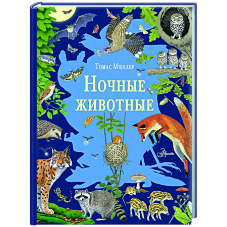 Животный и растительный мир, книга Ночные животные заказать