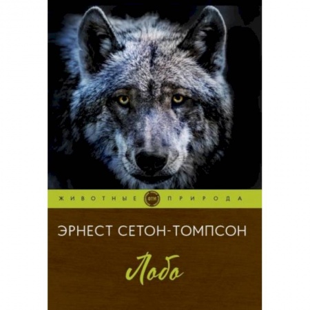 Зарубежная литература для детей, книга Лобо заказать