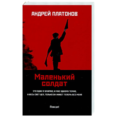 Военный роман, книга Маленький солдат: рассказы, очерки заказать