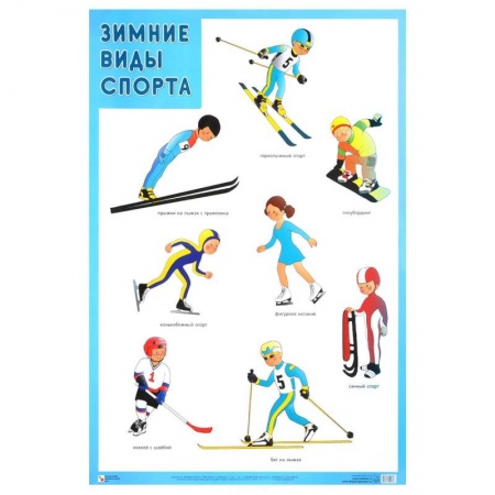 Книги, книга Зимние виды спорта заказать