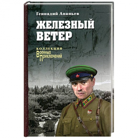 Исторический роман, книга Железный ветер заказать