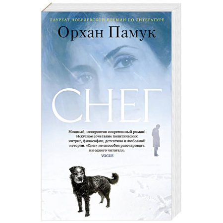 Зарубежная современная проза, книга Снег заказать