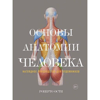 Основы анатомии человека. Наглядное руководство для художника
