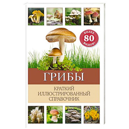 Животный и растительный мир, книга Грибы. Краткий иллюстрированный справочник заказать