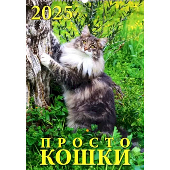 Календарь настенный на 2025 год Просто кошки Календарь настенный на 2025 год Просто кошки