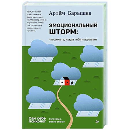 Депрессия. Стресс, книга Эмоциональный шторм: что делать, когда тебя накрывает. Успокойся. Прямо сейчас заказать