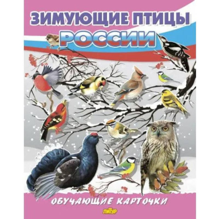 Животный и растительный мир, книга Зимующие птицы России заказать