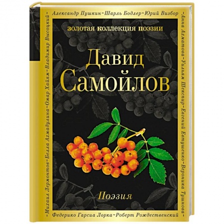 Русская поэзия, книга Поэзия заказать