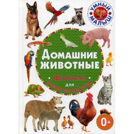 Животный и растительный мир, книга Домашние животные заказать