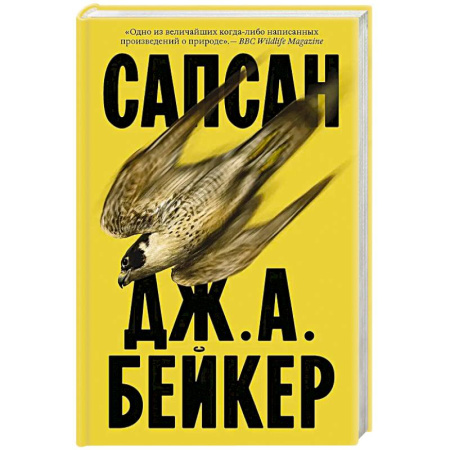 Зарубежная современная проза, книга Сапсан заказать