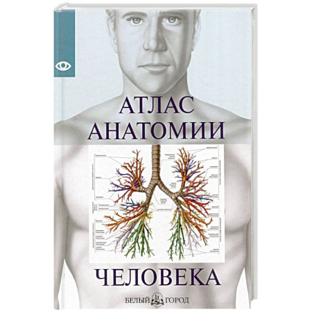 Анатомия и физиология человека, книга Атлас анатомии человека заказать