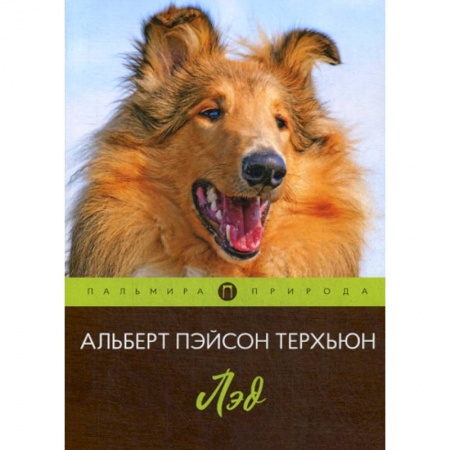 Зарубежная современная проза, книга Лэд заказать