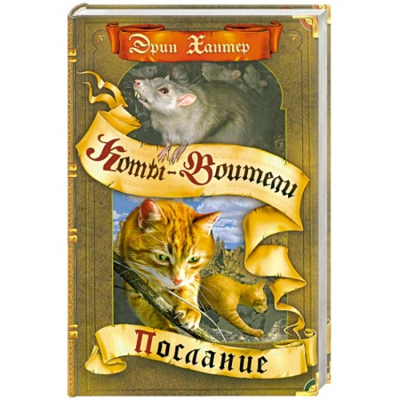 Книги, книга Послание заказать