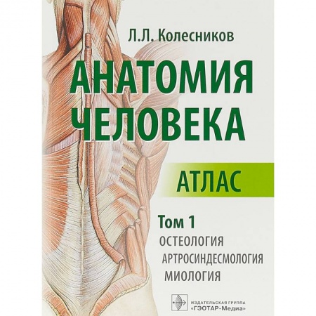 Биологические науки, книга Анатомия человека. Атлас в 3-х томах. Том 1. Остеология, артросиндесмология, миология заказать
