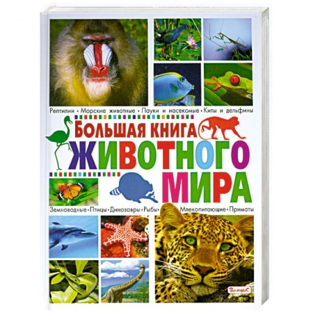 Книги, книга Большая книга животного мира заказать
