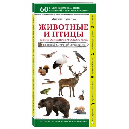 Уход за животными, книга Животные и птицы. Дикие обитатели русского леса заказать