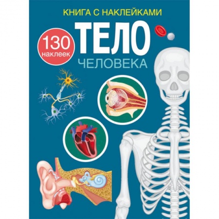 Человек. Земля. Вселенная, книга Книга с наклейками. Тело человека заказать