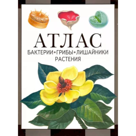 Ботаника, книга Бактерии, грибы, лишайники, растения. Атлас заказать