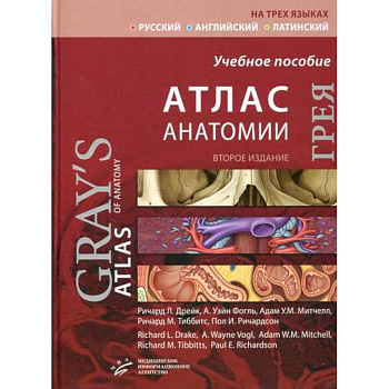 Атлас анатомии Грея