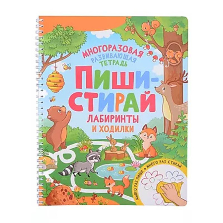 Развитие общих способностей, книга Пиши-стирай. Лабиринты и ходилки. Многоразовая развивающая тетрадь заказать