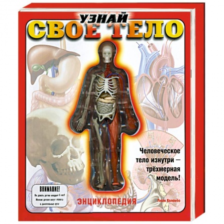 Книги, книга Узнай свое тело. Книжка-игрушка заказать