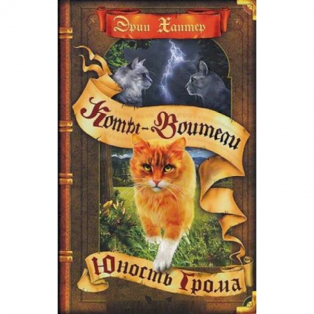 Мистика. Фантастика. Фэнтези, книга Коты-воители. Юность Грома заказать