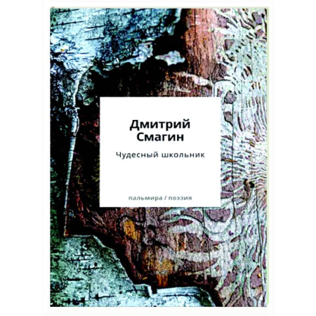 Русская поэзия, книга Чудесный школьник: сборник стихотворений заказать