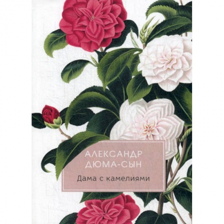 Зарубежная современная проза, книга Дама с камелиями заказать