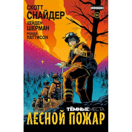 Комиксы. Манга, книга Тёмные места: Лесной пожар заказать