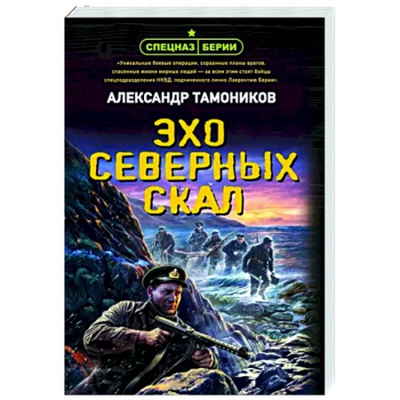 Боевики, военные, книга Эхо северных скал заказать
