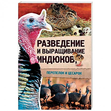 Птицы, книга Разведение и выращивание индюков, перепелок и цесарок заказать
