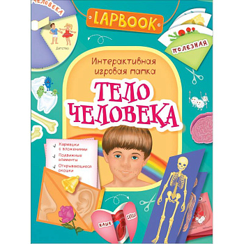 Тело человека.Интерактивная игровая папка Тело человека.Интерактивная игровая папка
