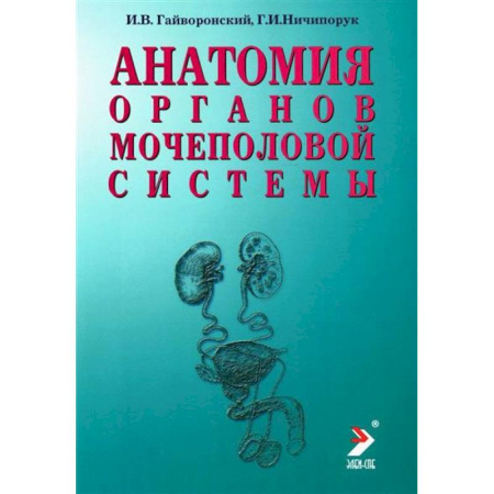 Анатомия и физиология человека, книга Анатомия органов мочеполовой системы. Учебное пособие заказать