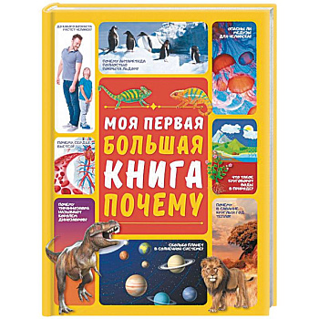 Моя первая большая книга ПОЧЕМУ Моя первая большая книга ПОЧЕМУ