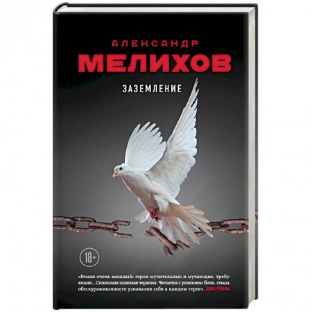Русская современная проза, книга Заземление заказать