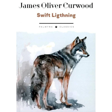 Чтение на английском языке, книга Swift Lightning заказать