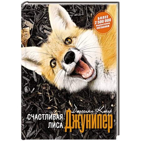 Зарубежная современная проза, книга Счастливая лиса Джунипер заказать