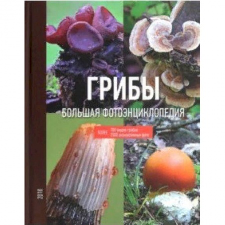 Грибы. Справочники. Определители, книга Грибы заказать