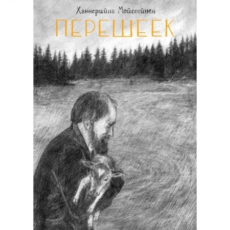 Комиксы. Манга, книга Перешеек. Графический роман заказать