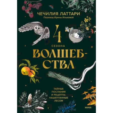 Домоводство. Обиходно-бытовые рекомендации, книга 4 сезона волшебства. Тайные послания и рецепты, нашептанные лесом заказать