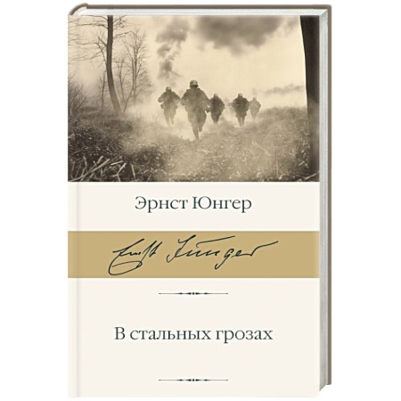 Зарубежная классика, книга В стальных грозах заказать