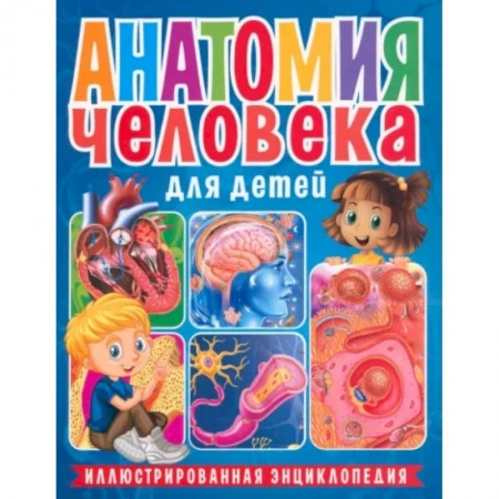 Человек. Земля. Вселенная, книга Анатомия человека для детей. Иллюстрированная энциклопедия заказать