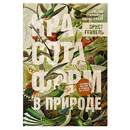 Альбомы по искусству. Фотоальбомы, книга Красота форм в природе. Альбом старинных иллюстраций заказать