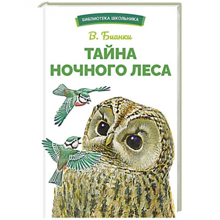 Произведения школьной программы, книга Тайна ночного леса заказать
