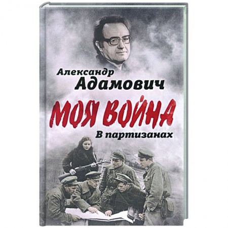 Публицистика, книга В партизанах заказать